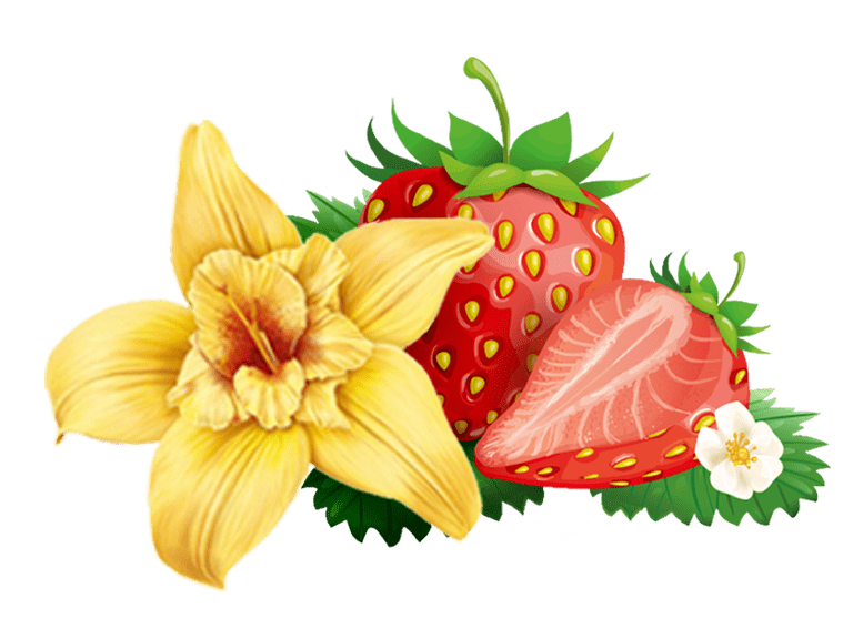 vanilla-strawberry